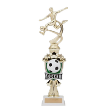 Load image into Gallery viewer, ATR 100 Fully Assembled Trophies with Star Riser
